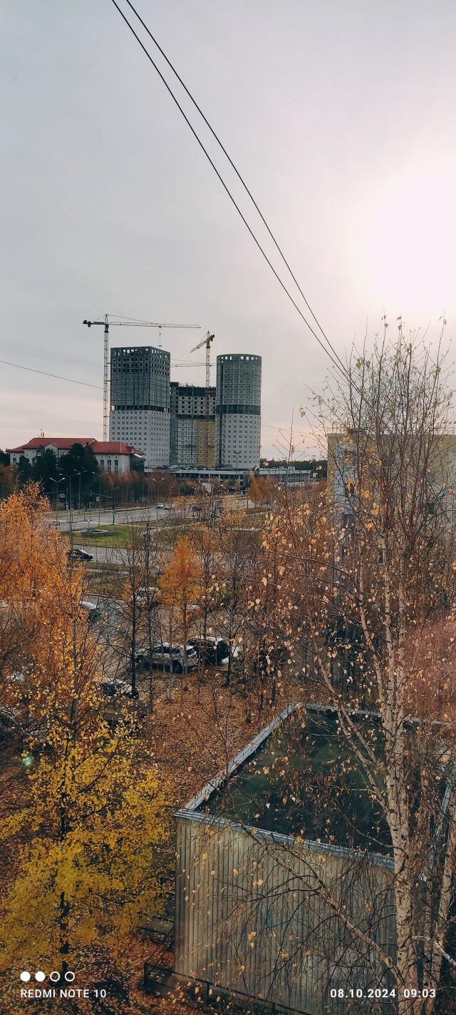 Вид из окна