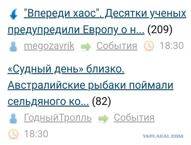 «Судный день» близко. Австралийские рыбаки поймали сельдяного короля.