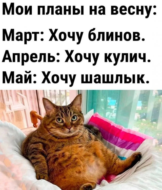 Так себе картинки 02.02.25