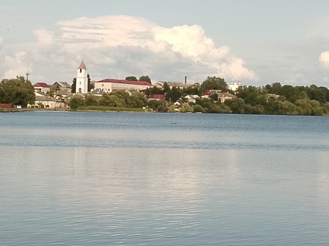 Зиновий Ефимович