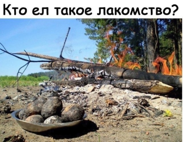 Так себе картинки 16.03.25