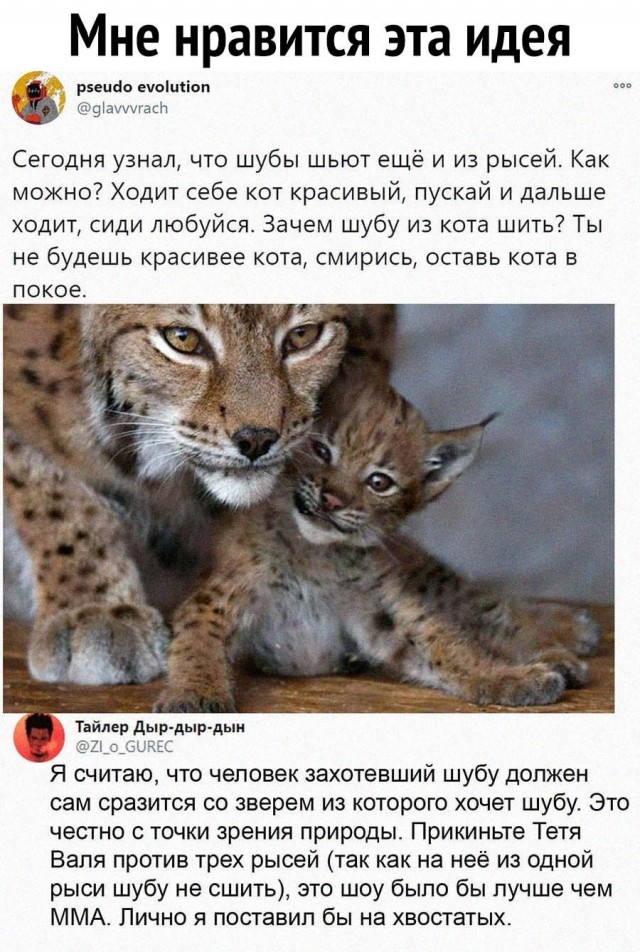 Так себе картинки 26.03.25