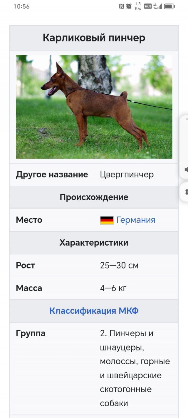 2 килограмма ярости