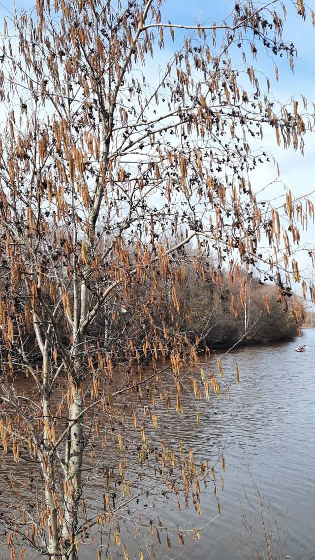 Разбавим политоту и жесть природой