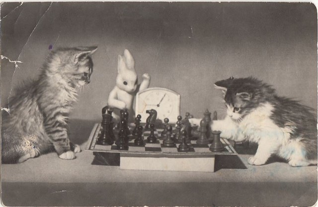 Фотохроника "загнивающего совка". Часть 10