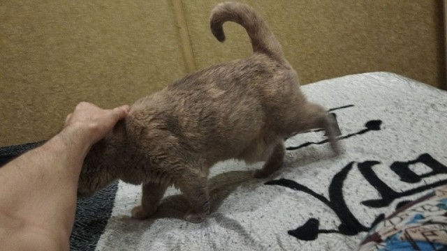 Одиночество — это плохо