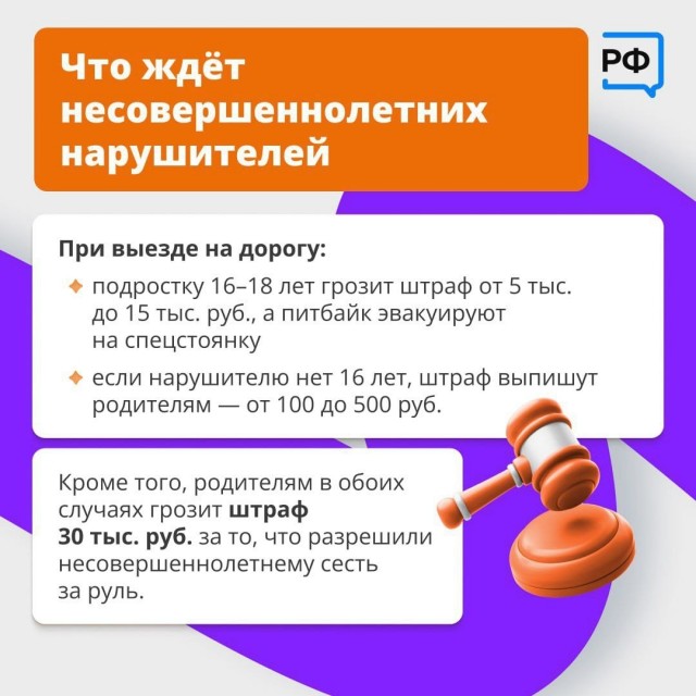 Про пит-байки