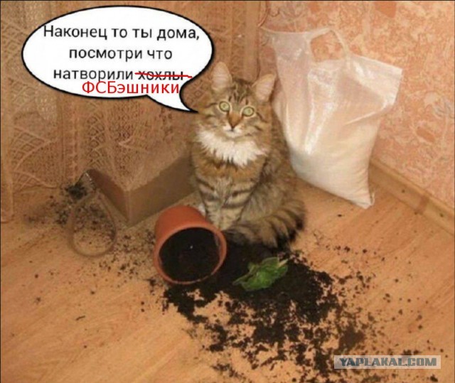 Следите что вы гуглите