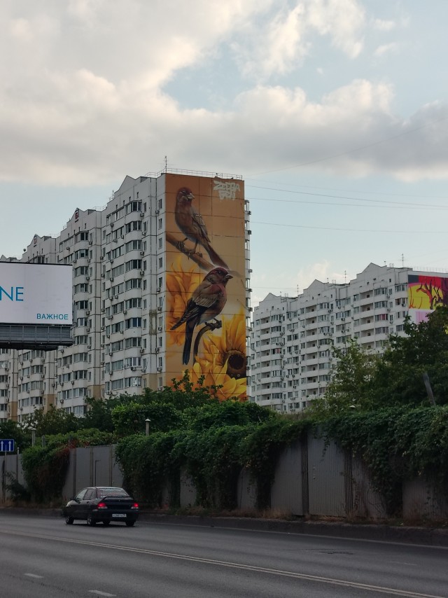 Муралы в Балашихе
