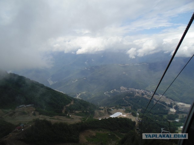 Отпуск в Сочи