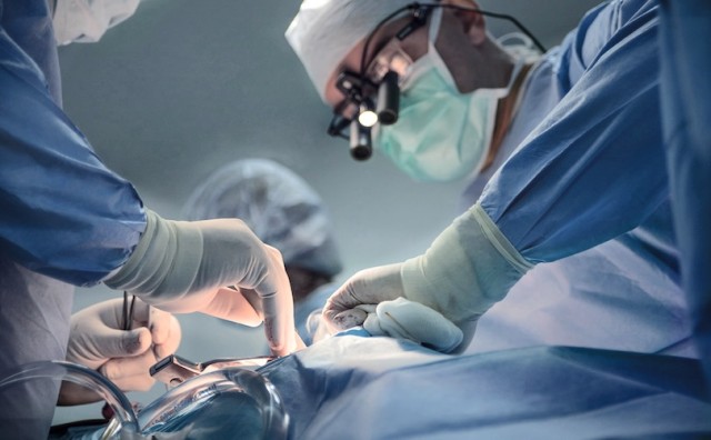 Исследование пропагандирует трансплантацию печени от жертв эвтаназии в Канаде