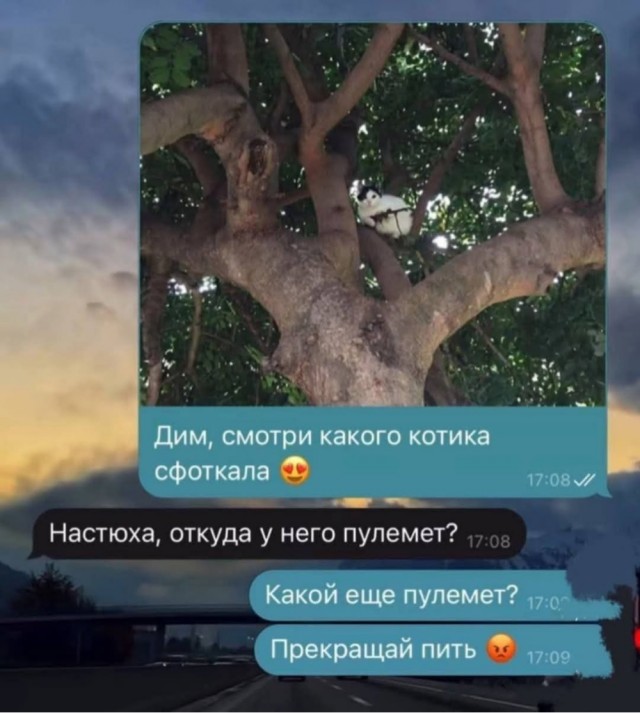 Среда пришла