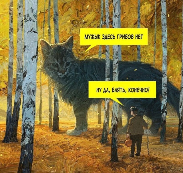 грибы