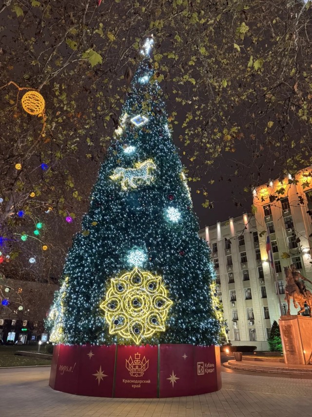 Невероятное Новогоднее преображение