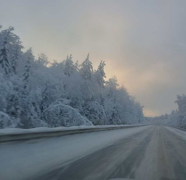 Зимняя дорога