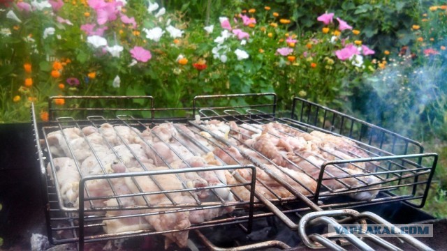 Просто "вкусная" пятница
