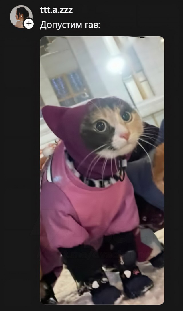 Гуляем, когда другие спят.