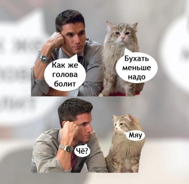 Собаки могут подслушивать ваши разговоры