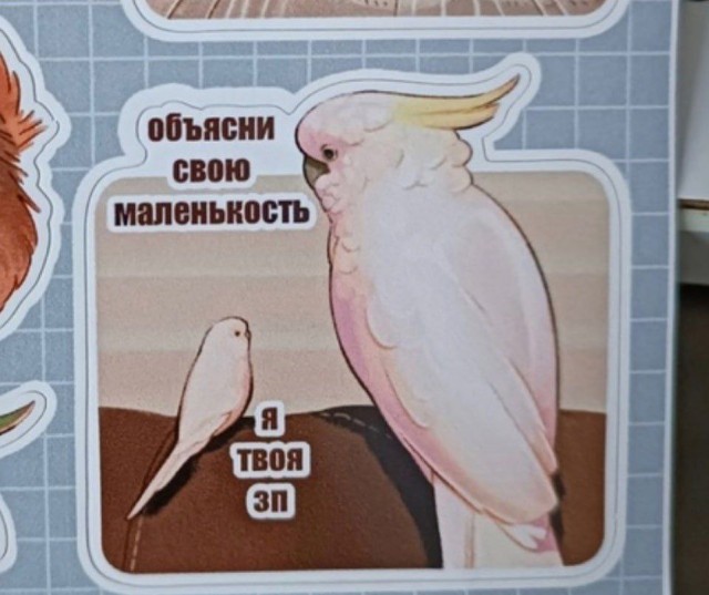 Картиночки, баянчики 07 февраля