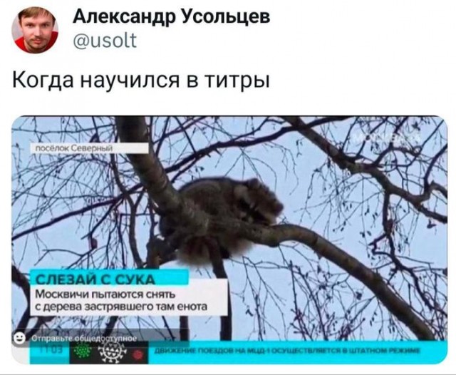 Картинки для деградации 168 (разной степени свежести)