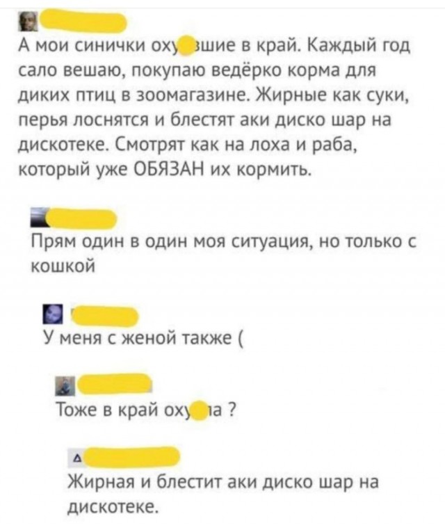 Картинки для деградации 175 (разной степени свежести)