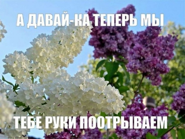 К нам сегодня заходил