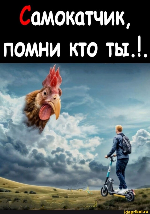 В Чертаново неизвестные утопили десятки арендных самокатов