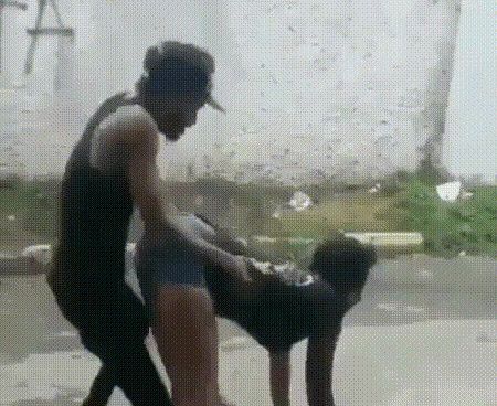 Нападение обезьяны
