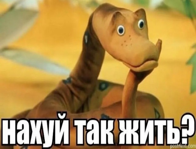 Раздельно питание
