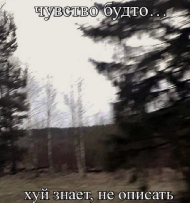 Веселое настроение в картинках 10.08.26