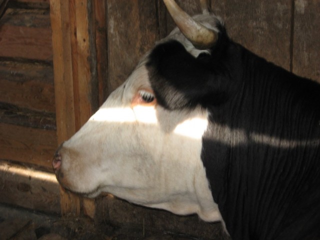 Поездка на Тамбовщину