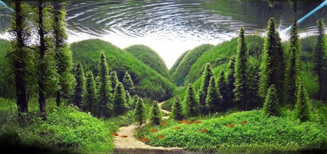 Микрокосм