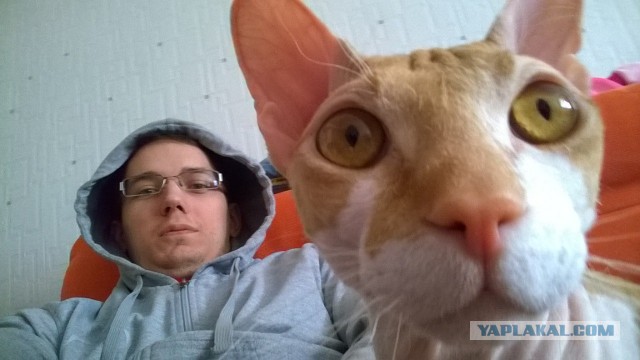 Котовторник 6.05.2014