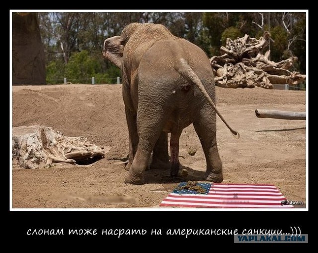 Немного позитива на пятницу.