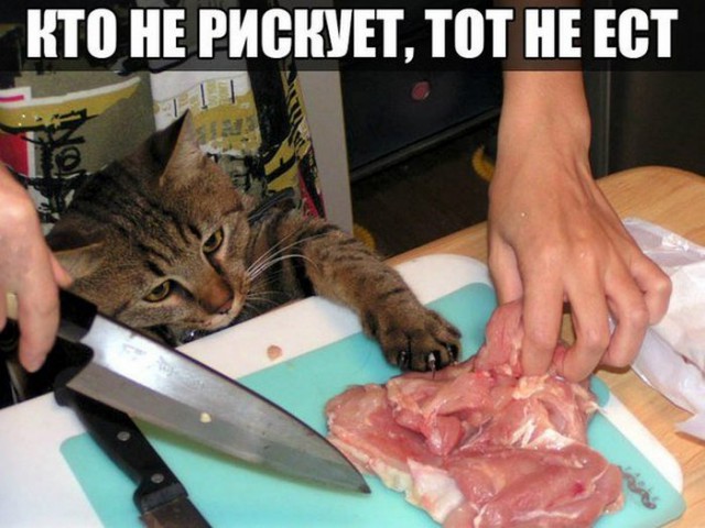 Картинки