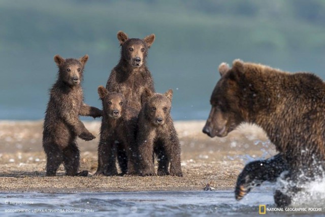 National Geographic,избранное...