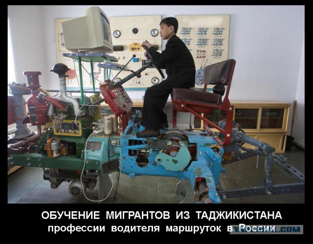 Весёлые картинки