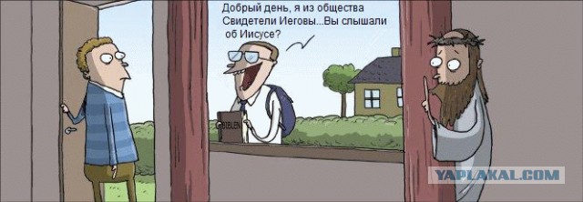 Как же я люблю Свидетелей Иеговы.
