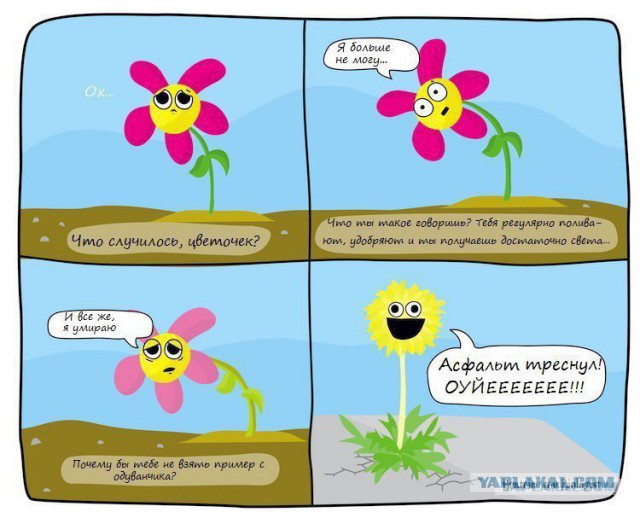Несмотря на обстоятельства
