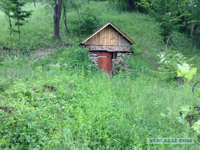 Карпаты