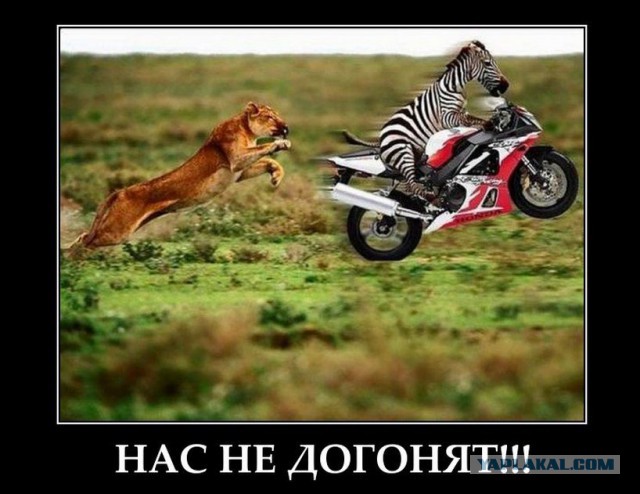 В погоне за ЮКой