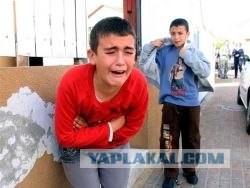 Экскурсия на скотобойню шокировала детей