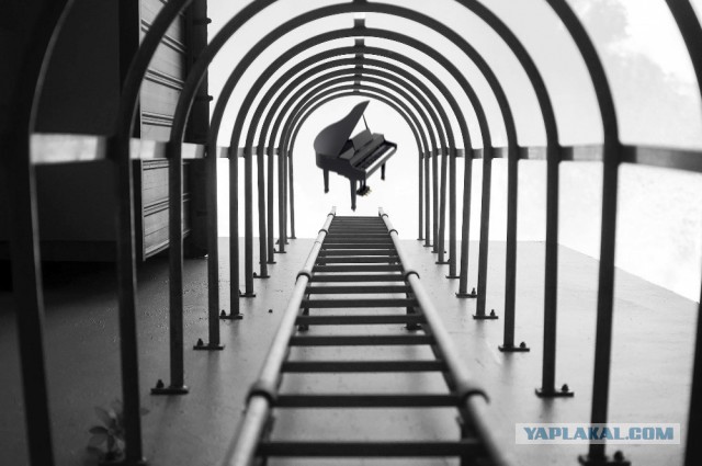 Nikon пришлось извиняться за награждение автора отфотошопленного снимка