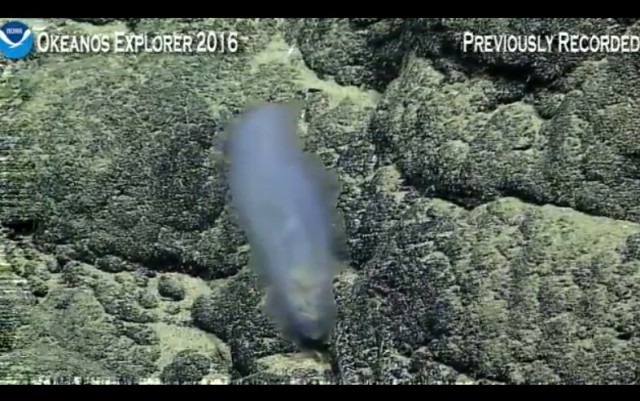 Началась онлайн-трансляция происходящего в самом глубоком месте Земли