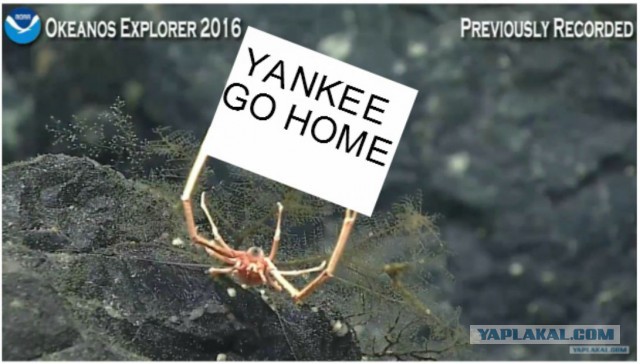 Началась онлайн-трансляция происходящего в самом глубоком месте Земли