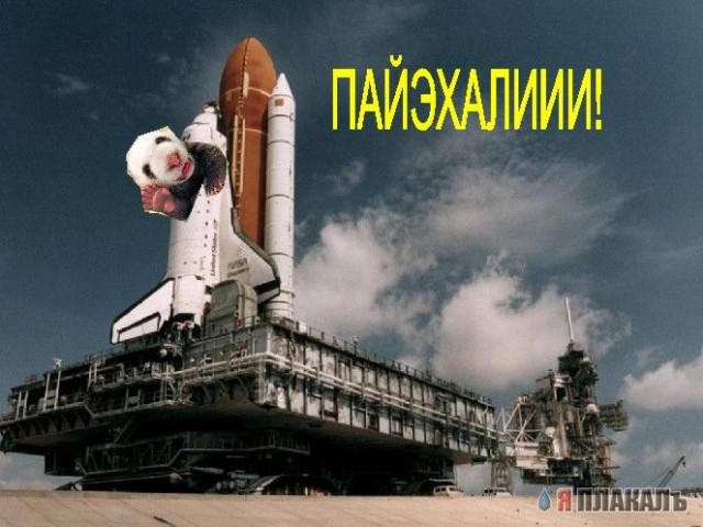 Обалденный позитив!