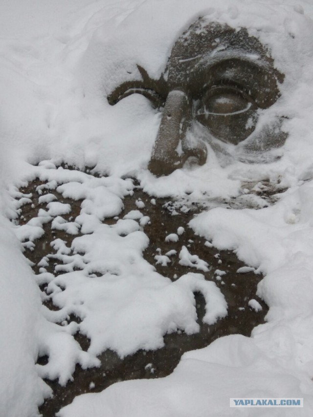 Пора вари... валить бетон! "Альты", шах и мат!