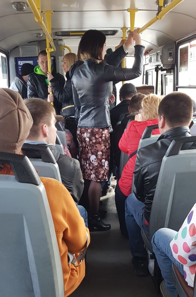 Подборка безудержного веселья