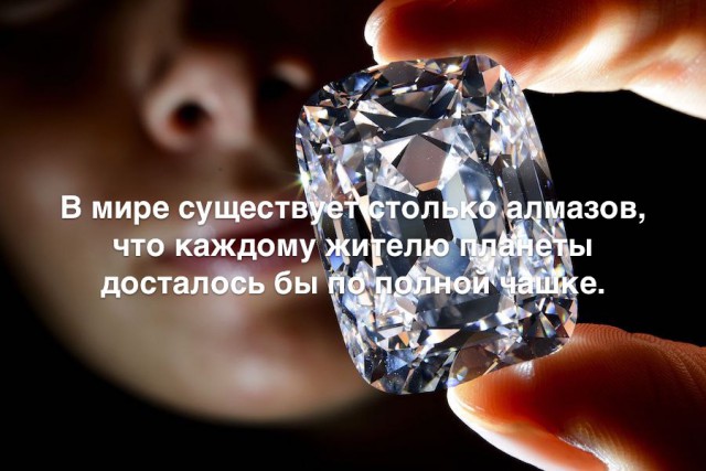 35 занимательных фактов