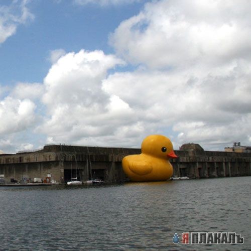 Надувной утенок